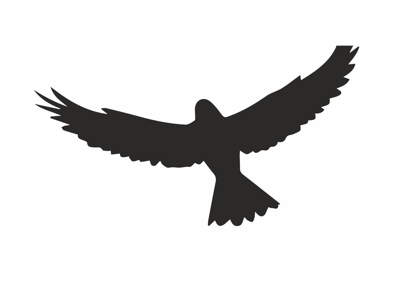 TIERE Vogel #002 Wandtattoo TIERE Vogel #002 Wandtattoo