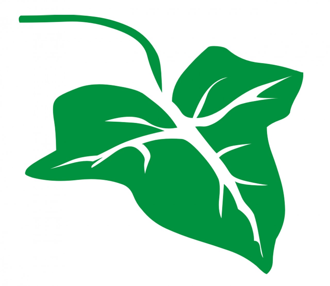 PFLANZEN Blatt, Efeublatt Wandtattoo PFLANZEN Blatt, Efeublatt Wandtattoo