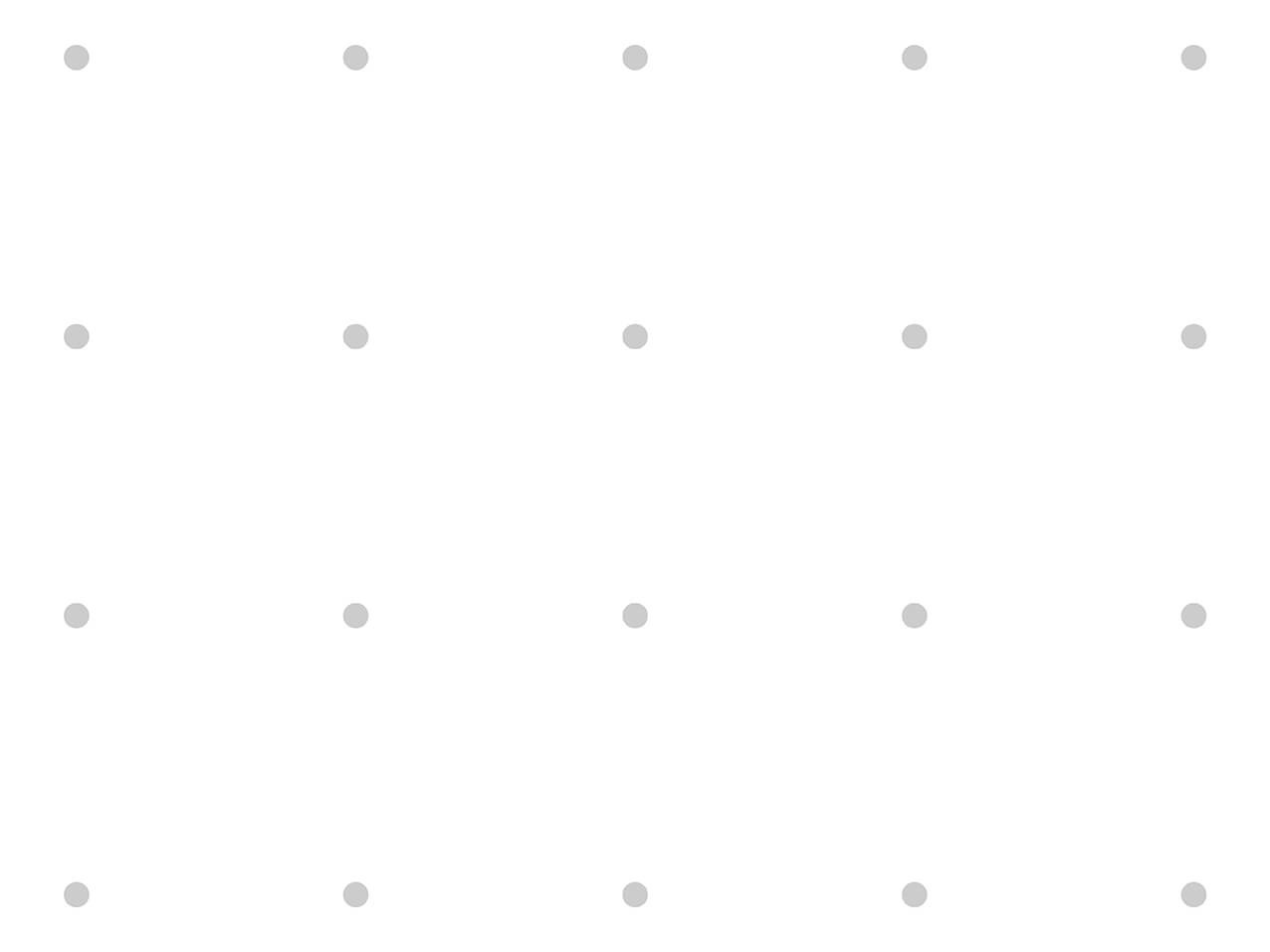 Vogelschutzfolie SEEN Vogelschutzfolie-SEEN-Punkte-Aussen-silber-matt-Innen-schwarz-202