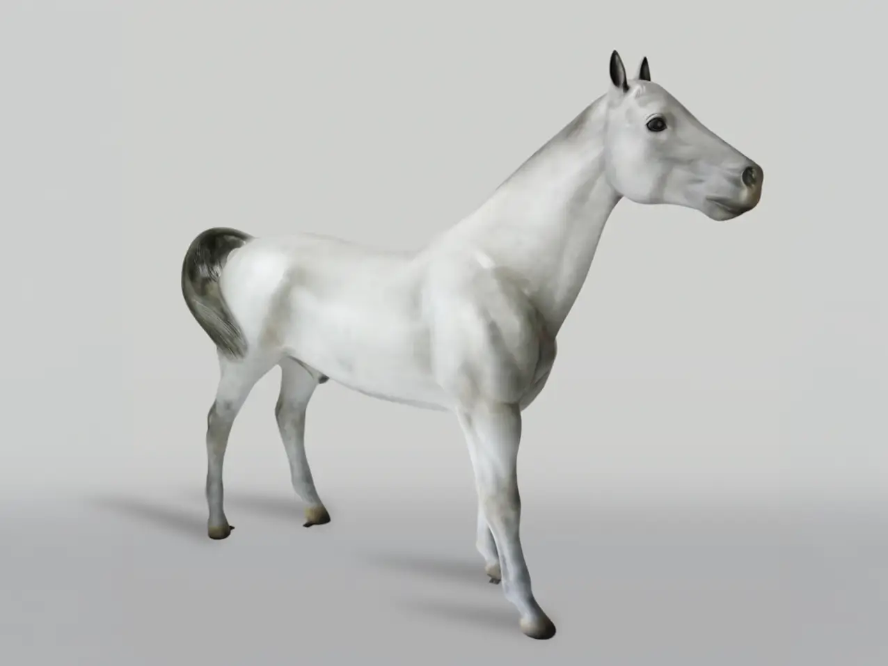 3D-XXL-Pferdefigur-lebensgross-245x200cm-weiss-Schimmel