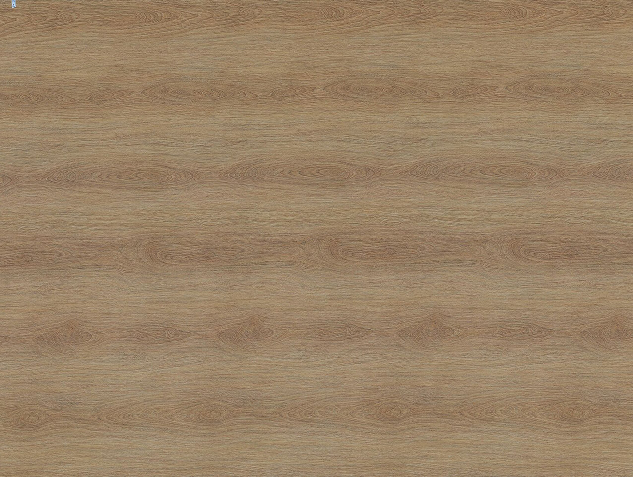 Moebelfolie-Klebefolie-Holz-NF66-Eiche-hart