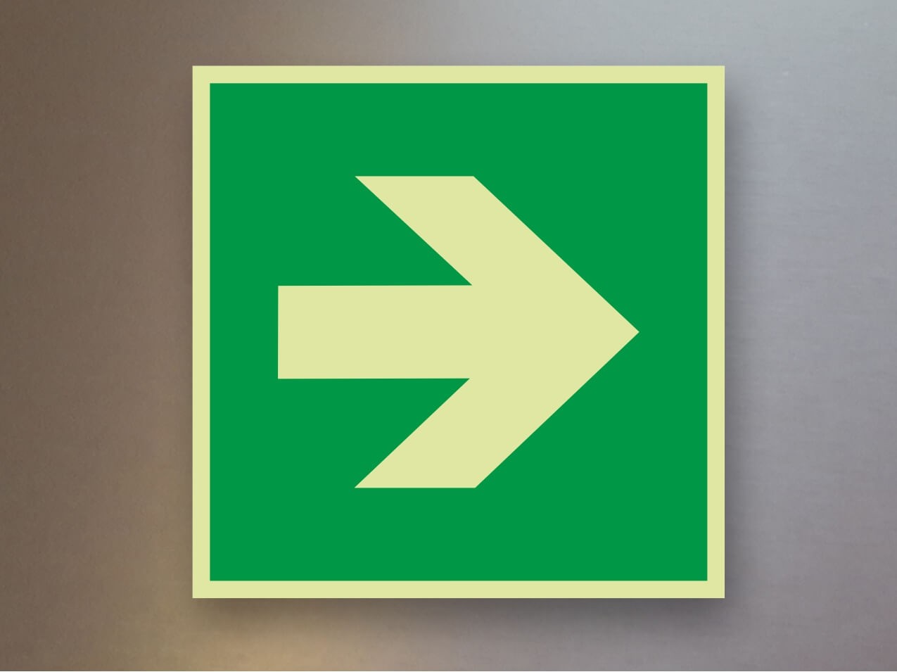 Rettungszeichen Richtungsangabe gerade E13 Alu Rettungszeichen Richtungsangabe gerade E13 Alu