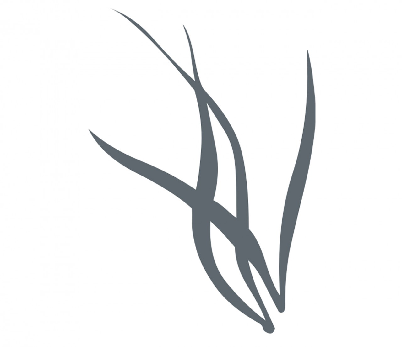 PFLANZEN Gras, Grashalme Wandtattoo PFLANZEN Gras, Grashalme Wandtattoo