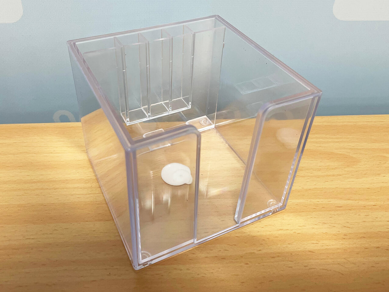 doppelwandige_transparente_Zettelbox_Koecher_Stiftehalter