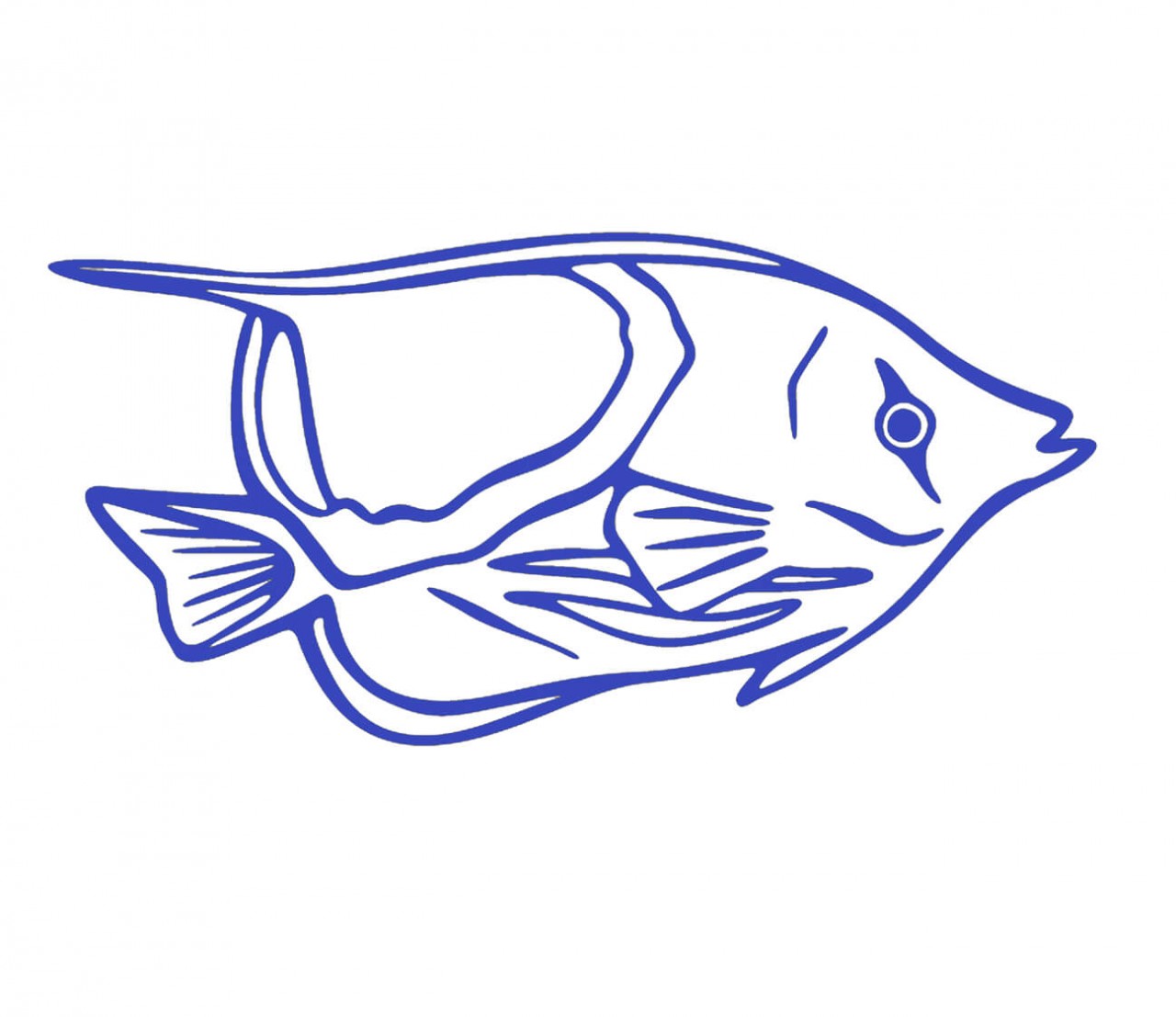 TIERE Fisch, Zierfisch als Wandtattoo TIERE Fisch, Zierfisch als Wandtattoo