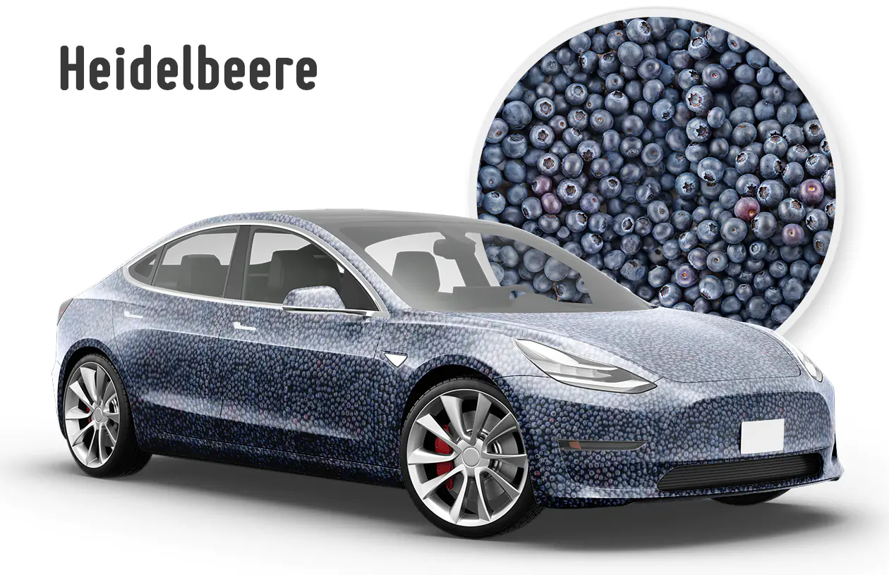 NAHRUNG Heidelbeeren 3-D Effekt Motivdruck Autofolie Car Wrapping