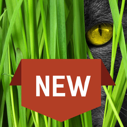 Neuheiten-Themenwelten Neuheiten-Themenwelten