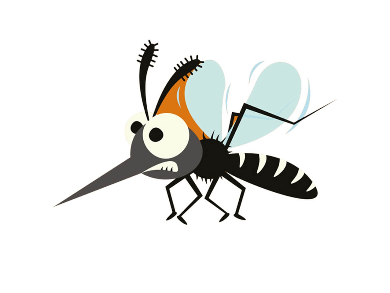 TIERE Mücke #002 Wandtattoo TIERE Mücke #002 Wandtattoo
