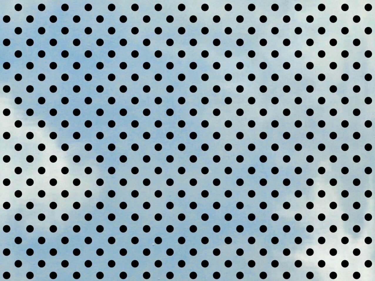 Vogelschutzfolie Punkte #310