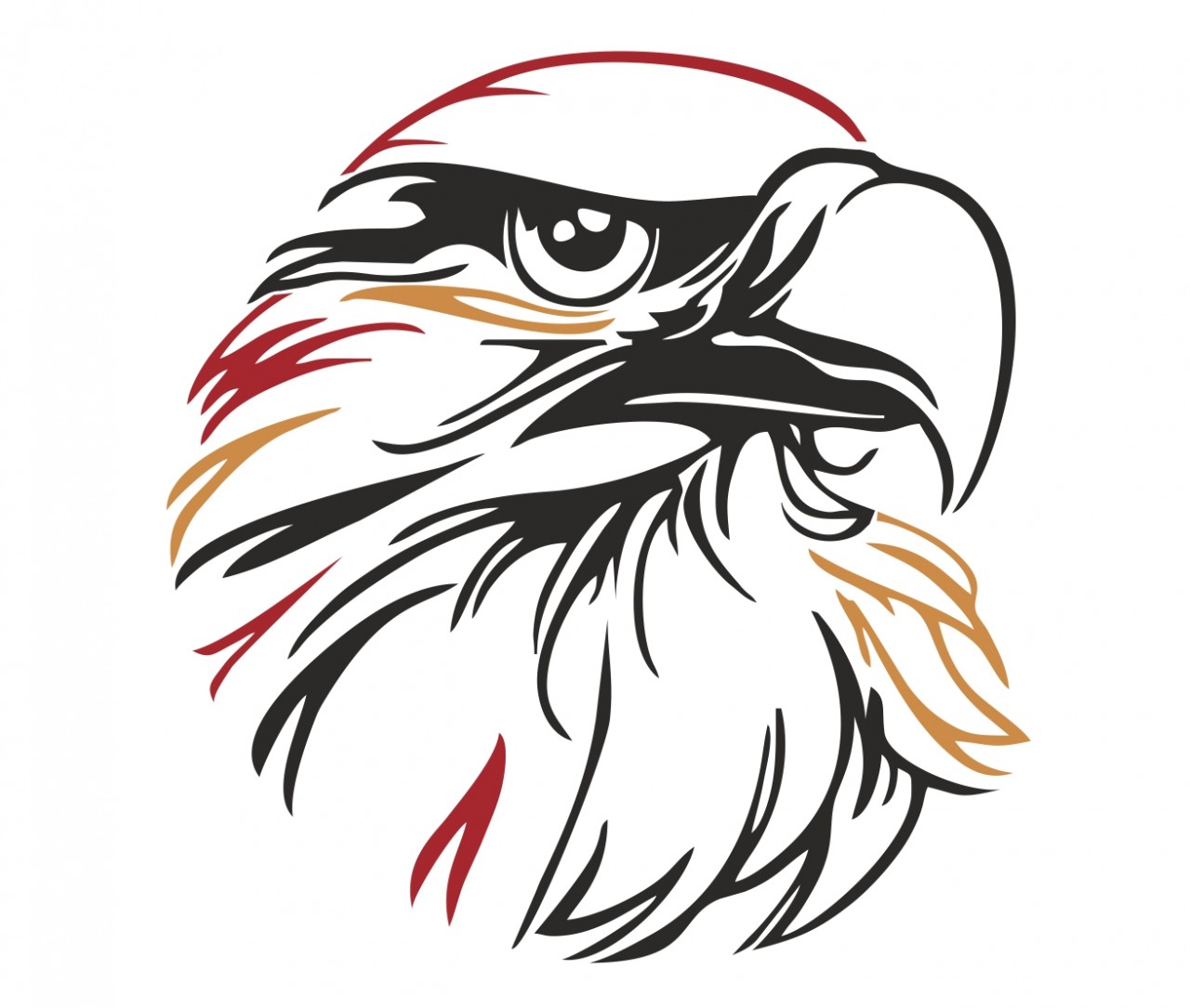 TIERE Adler Kopf, Vogel Wandtattoo TIERE Adler Kopf, Vogel Wandtattoo
