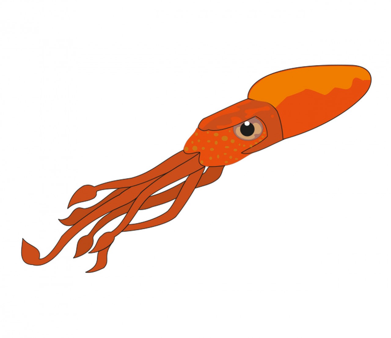 TIERE Tintenfisch-Oktopus Wandtattoo TIERE Tintenfisch-Oktopus Wandtattoo