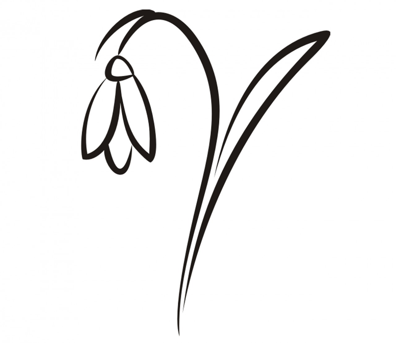 PFLANZEN Schneeglöckchen Wandtattoo PFLANZEN Schneeglöckchen Wandtattoo