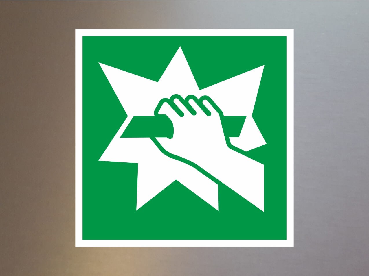 Rettungszeichen Notausgangvorrichtung E008 PVC Rettungszeichen Notausgangvorrichtung E008 PVC