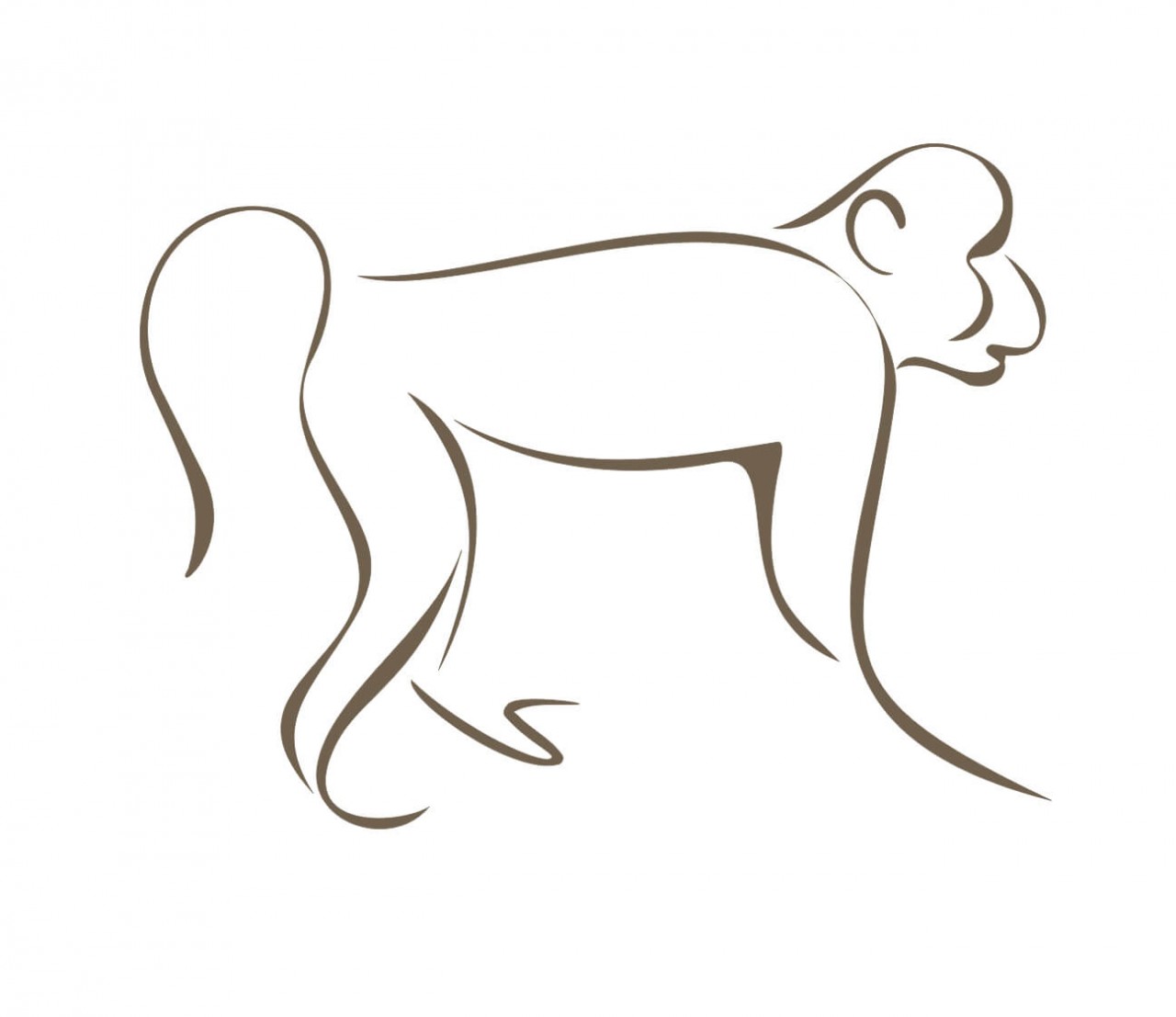 TIERE Affe, Schimpanse als Wandtattoo TIERE Affe, Schimpanse als Wandtattoo