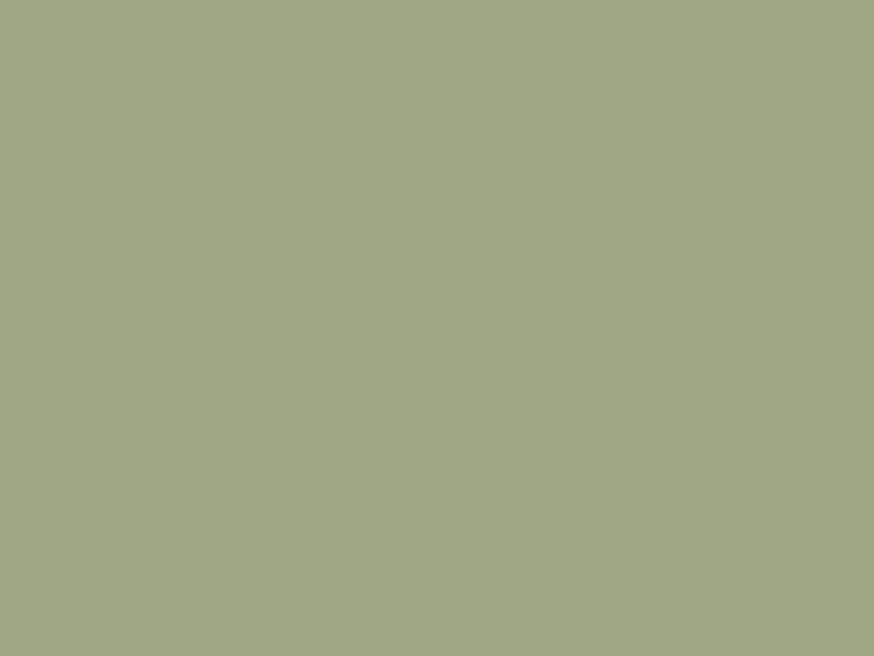 09 Khaki