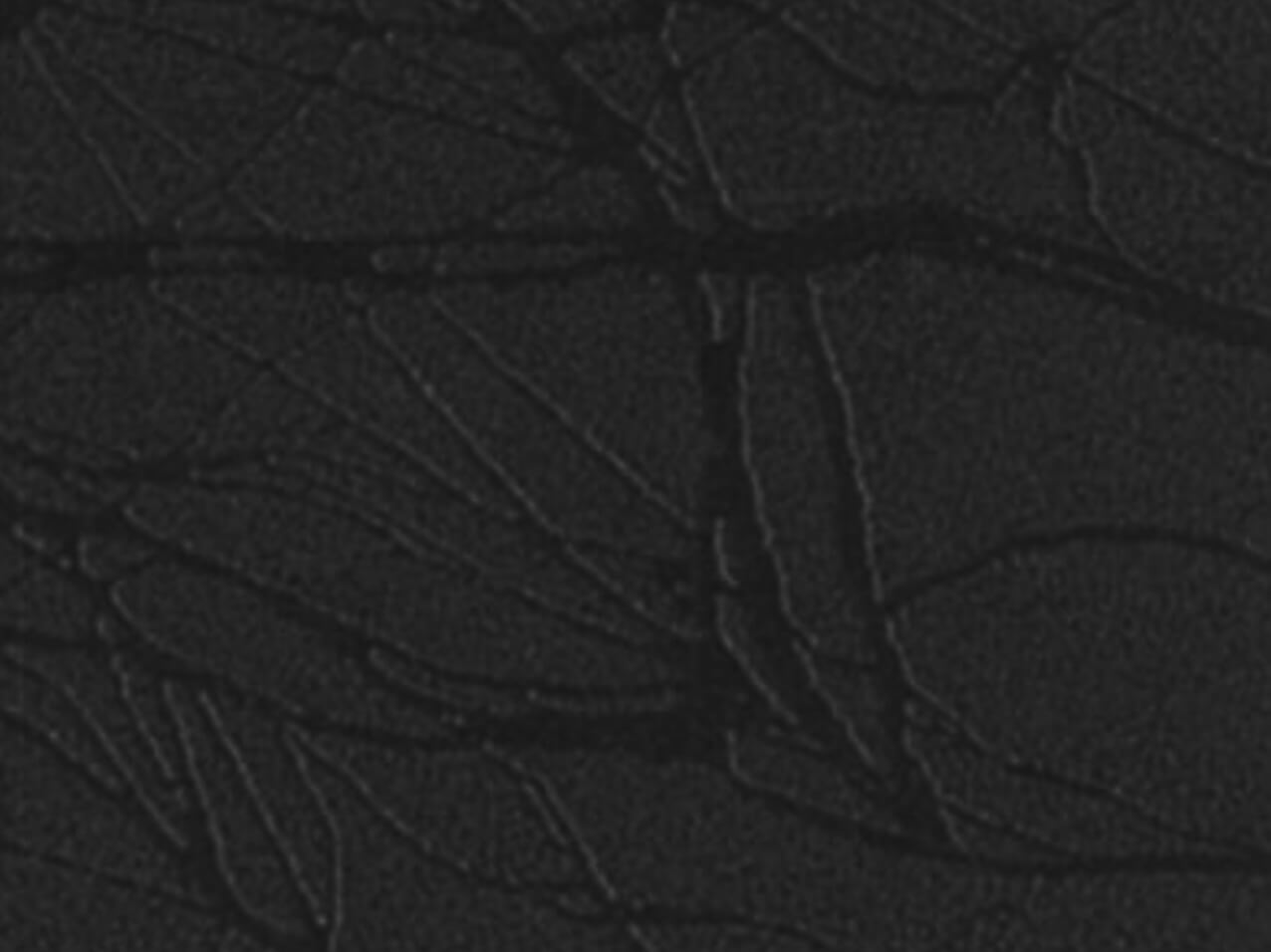 Autofolie-Orafol-Cocoon-975CO-070-Schwarz