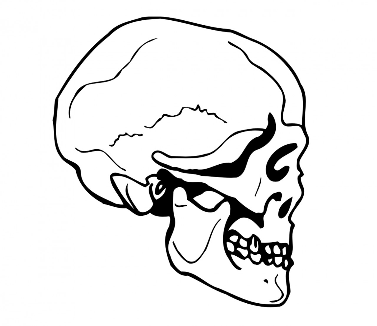 FANTASY Totenkopf, Skull Wandtattoo FANTASY Totenkopf, Skull Wandtattoo