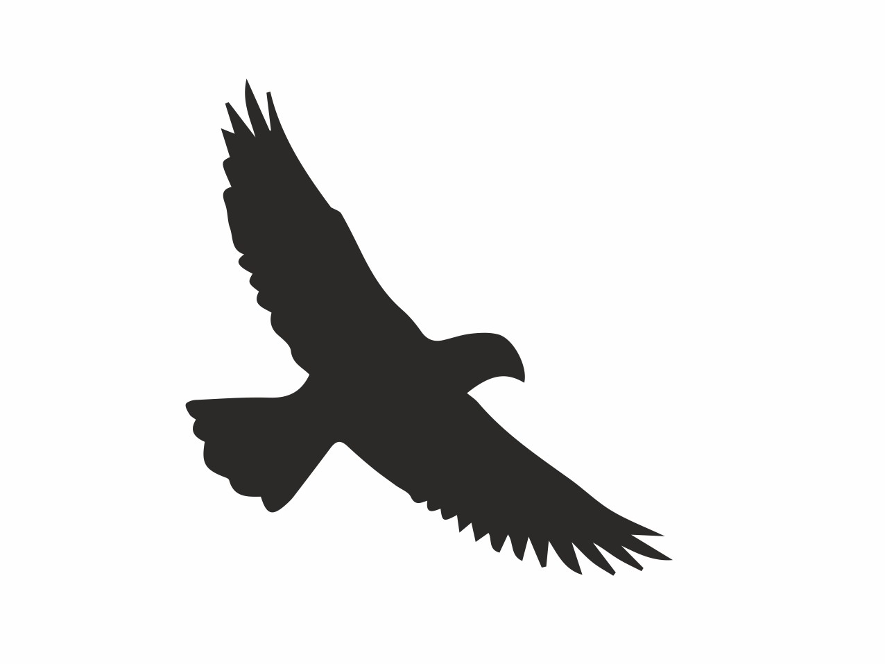 TIERE Vogel #009 Wandtattoo