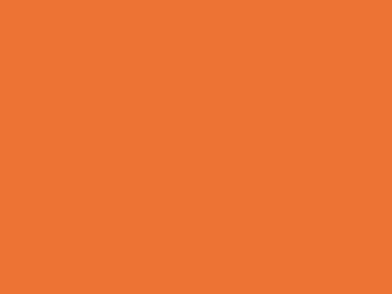 11 Orange