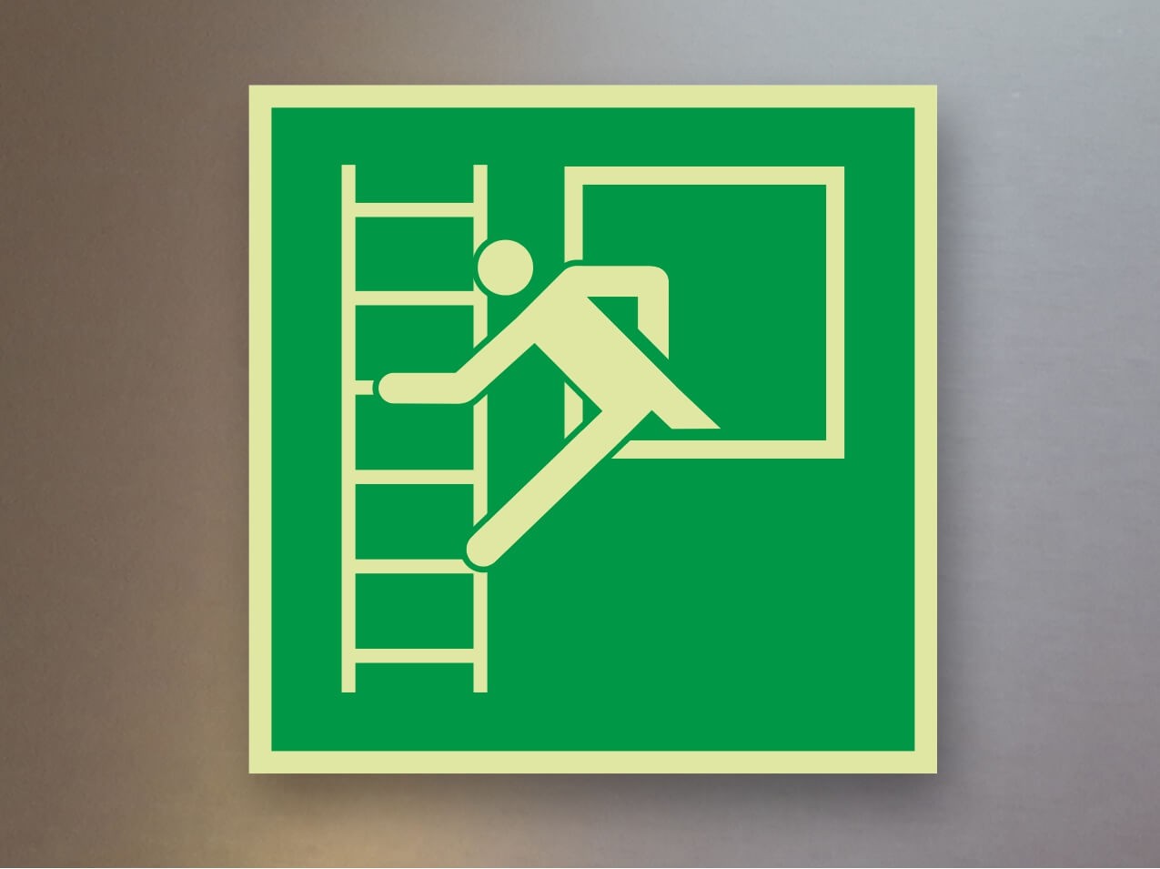 Rettungszeichen Notausstieg mit Fluchtleiter E016 Alu Rettungszeichen Notausstieg mit Fluchtleiter E016 Alu