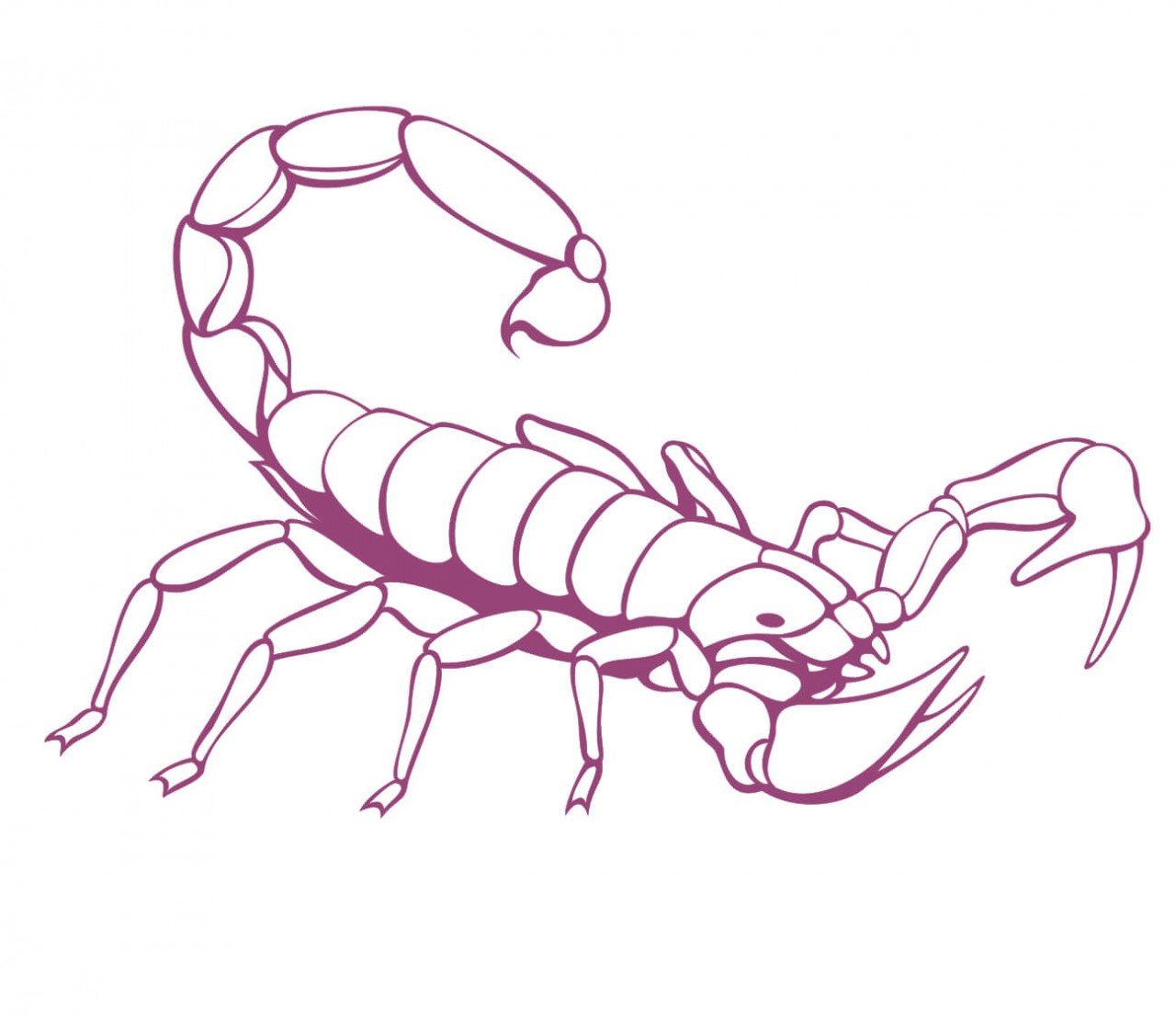 TIERE Skorpion als Wandtatoo TIERE Skorpion als Wandtatoo