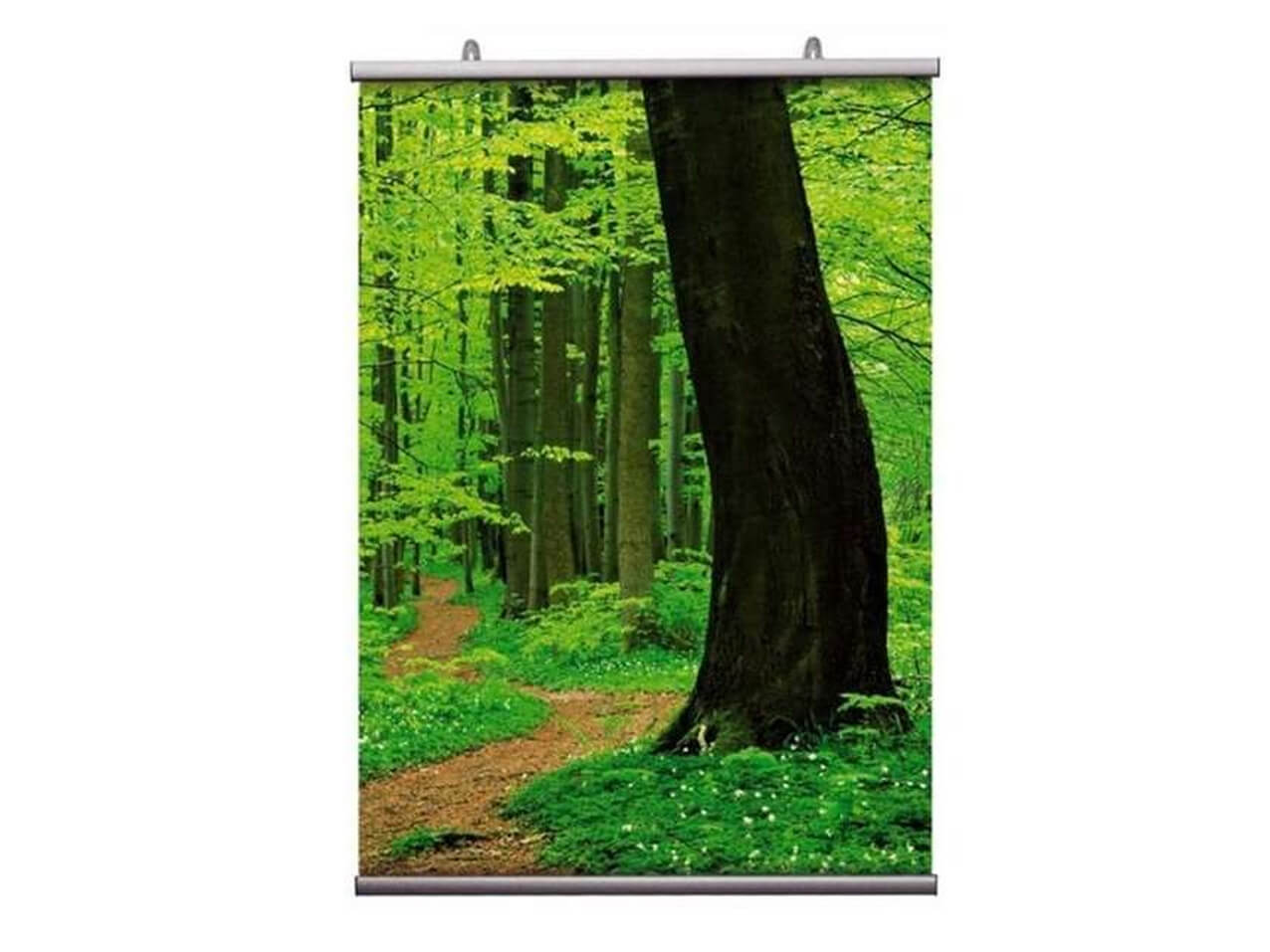 253 Posterleiste 253-Posterleiste-doppelseitig-Plakathalter-2-Seiten