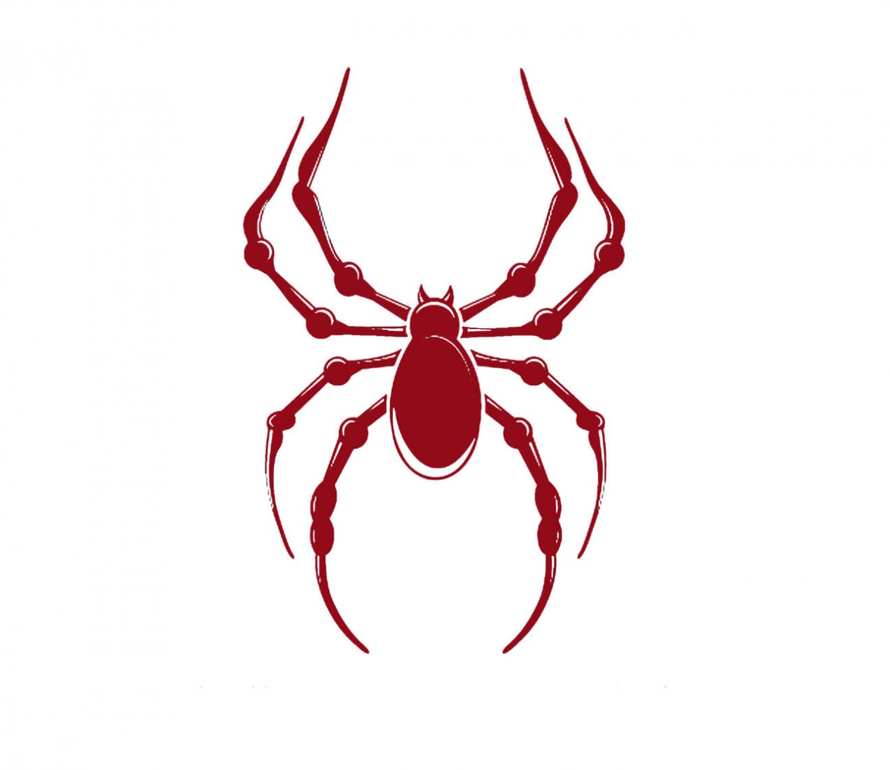 TIERE Spinne, Kreuzspinne als Wandtatoo TIERE Spinne, Kreuzspinne als Wandtatoo