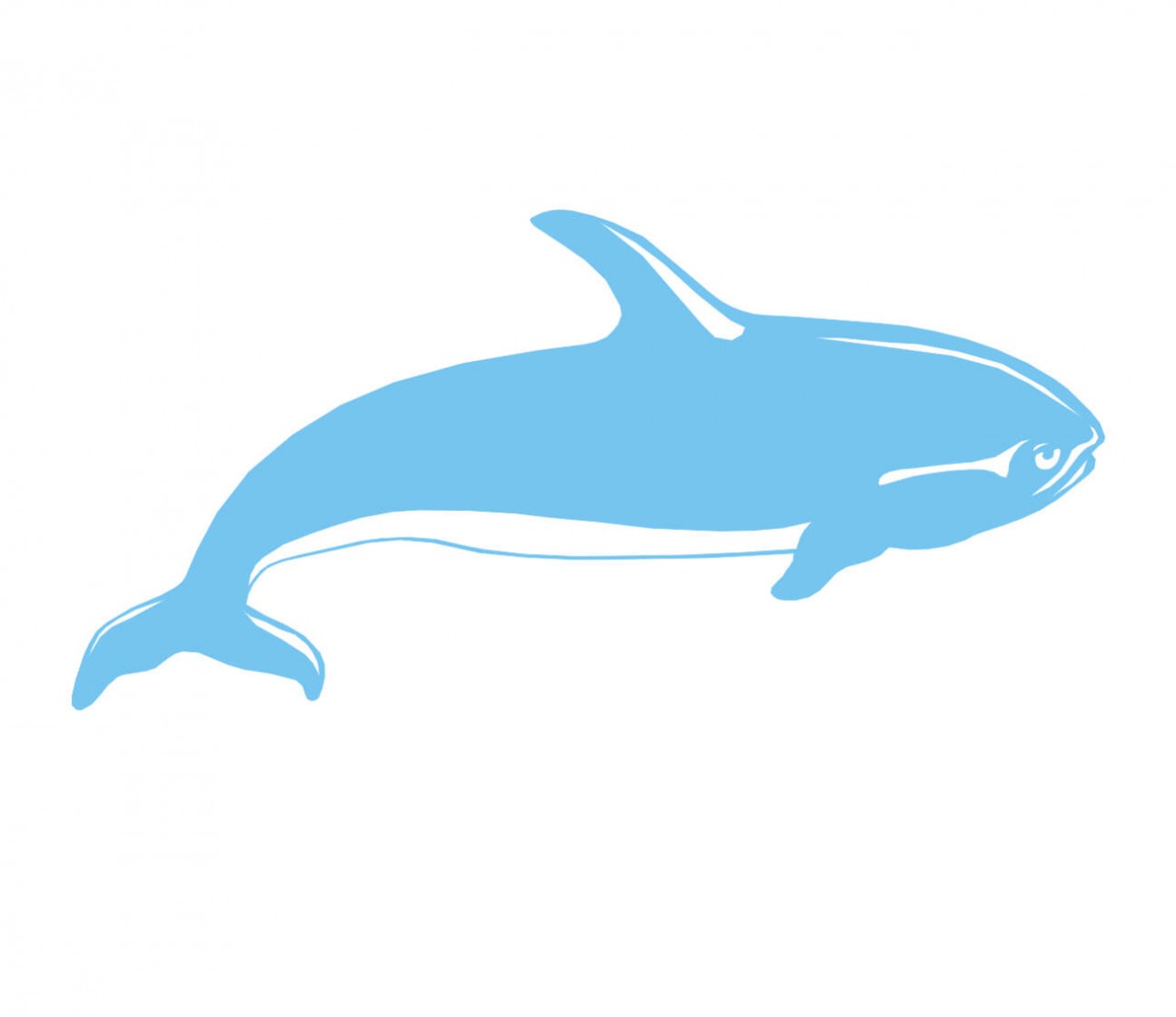 TIERE Schwertwal, Killerwal, Orca als Wandtatoo TIERE Schwertwal, Killerwal, Orca als Wandtatoo