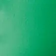 Textilienfarbe grün
