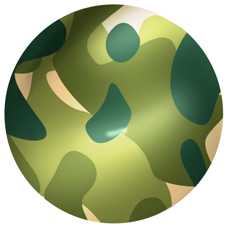 Digitalprint Autofolie - viele Motive