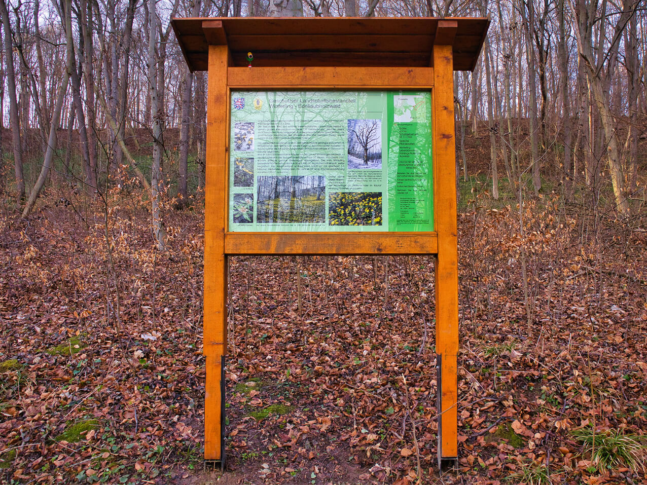 Holzaufsteller-Infotafel-Glasvitrine-Dach-Wald