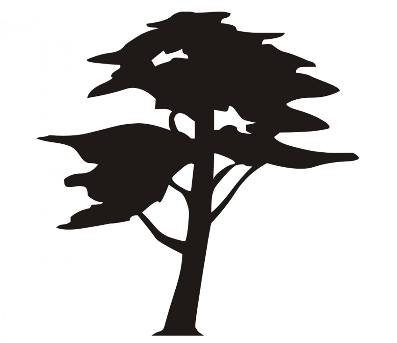 PFLANZEN Baum, Kiefer Wandtattoo PFLANZEN Baum, Kiefer Wandtattoo