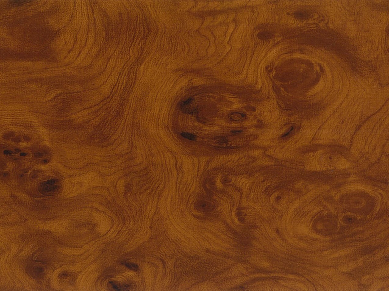 Digitalprint Autofolie - viele Motive