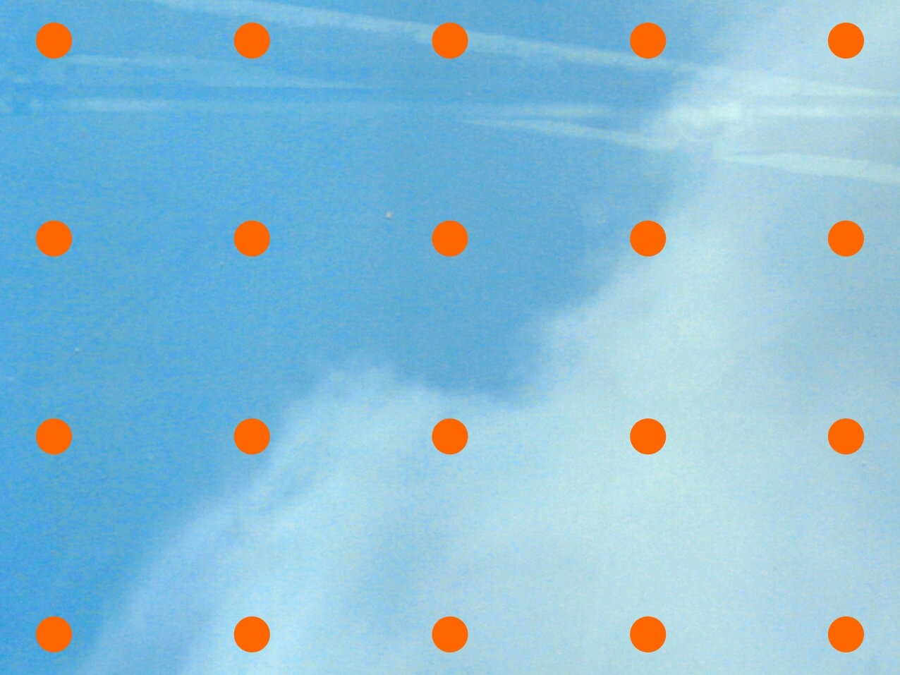 Vogelschutzfolie Punkte #300 Sonderangebot Vogelschutzfolie Punkte #300 Sonderangebot