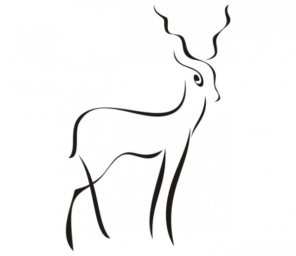 TIERE Antilope, Springbock als Wandtattoo