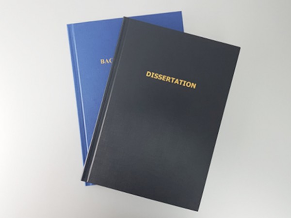 Buch LEINENSTRUKTUR Dissertation Abschlußarbeit