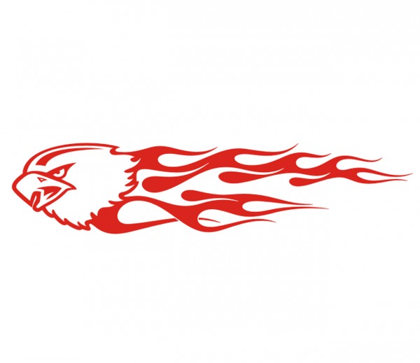 Adlerkopf in Flammen - Tattoo - Folienaufkleber Nr. 9