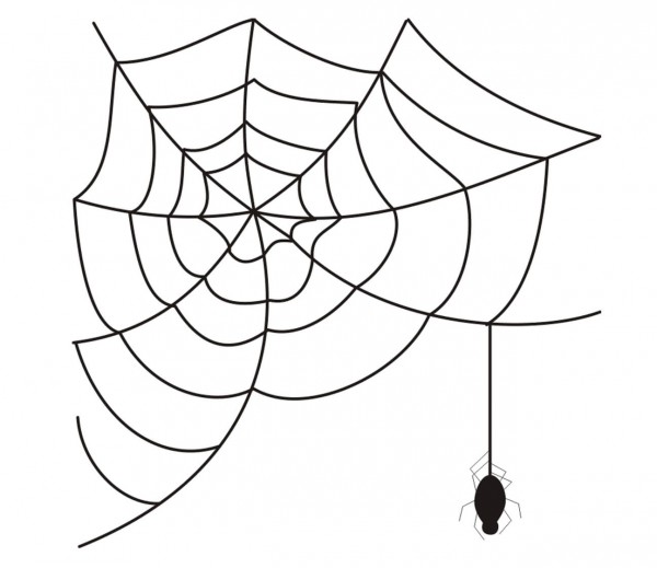 TIERE Spinnennetz mit Spinne als Wandtatoo
