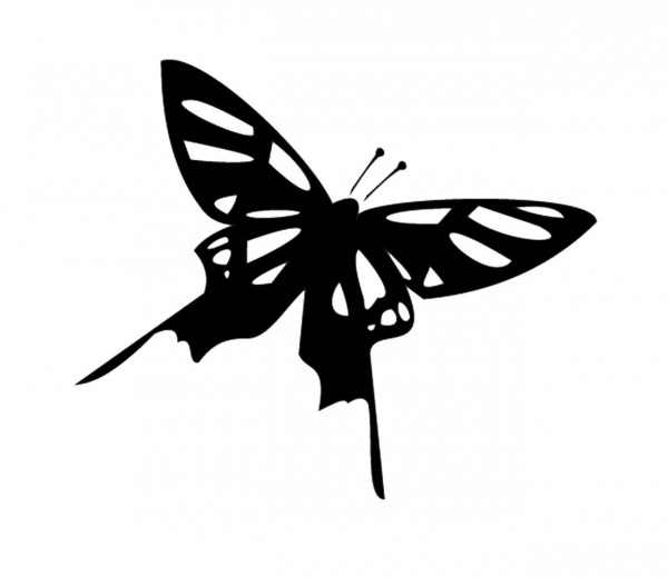 TIERE Schmetterling, Schwalbenschwanz als Wandtatoo